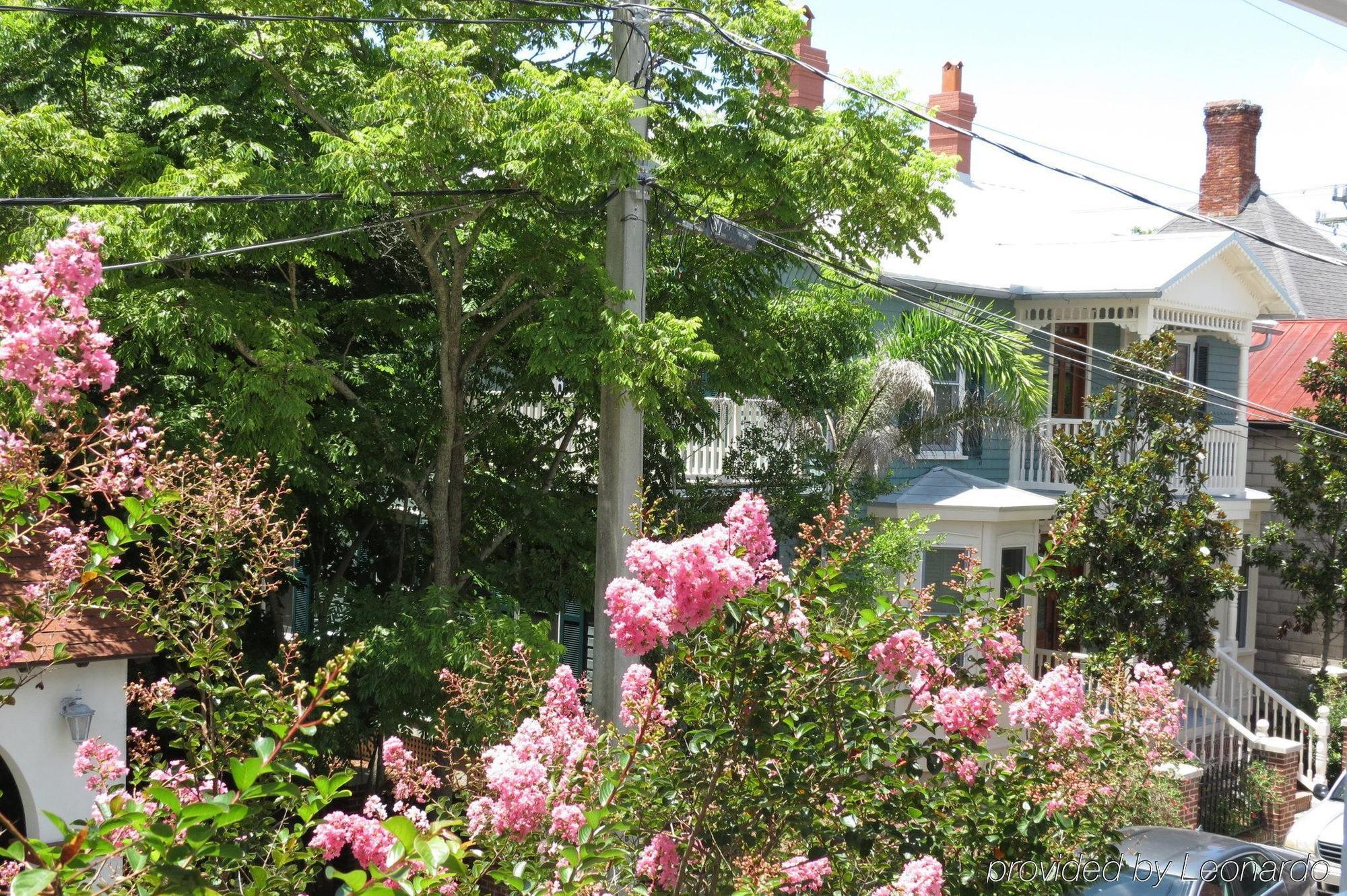 Bayfront Westcott House Bed & Breakfast St. Augustine Εξωτερικό φωτογραφία