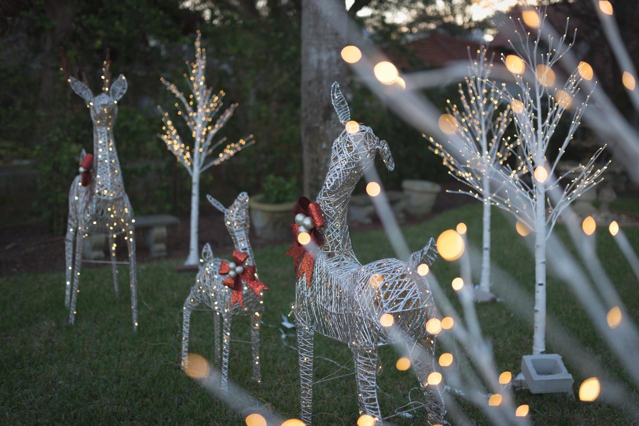 Bayfront Westcott House Bed & Breakfast St. Augustine Εξωτερικό φωτογραφία