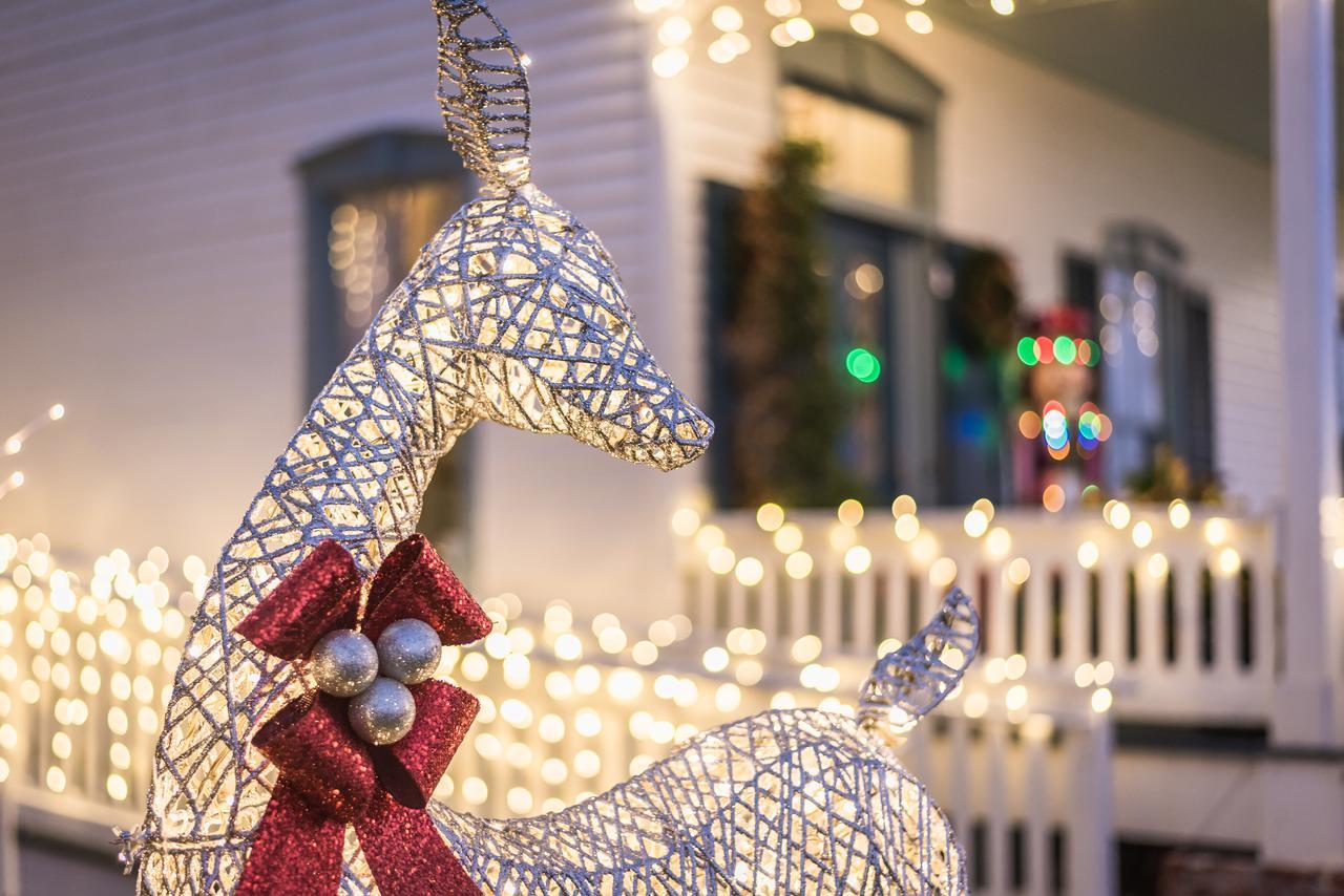 Bayfront Westcott House Bed & Breakfast St. Augustine Εξωτερικό φωτογραφία